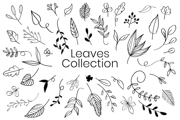 leaf doodle leaf doodle