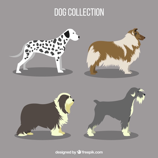 Various profile dogs in flat design