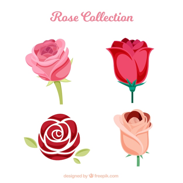 Various roses with different kind of\
designs