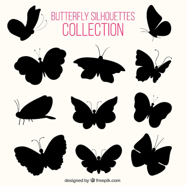 Various silhouettes of butterflies