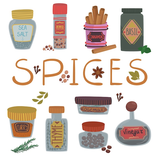 Premium Vector | Various spices and herbs set, cinnamon, basil, curry ...