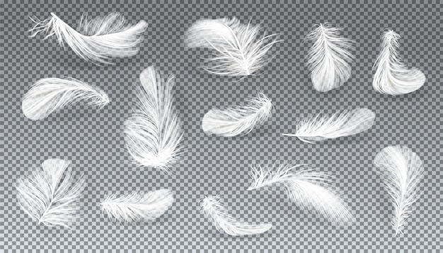 さまざまな形で白い鳥や天使の羽の3 Dのリアルなセットをベクトルします 無料のベクター