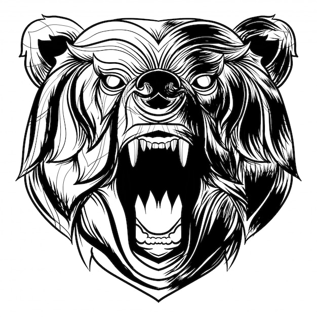 Premium Vector Vector angry bear head illustration