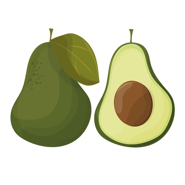 Premium Vector Vector Avocados Illustration Whole And Cut Avocado Isolated On White Background