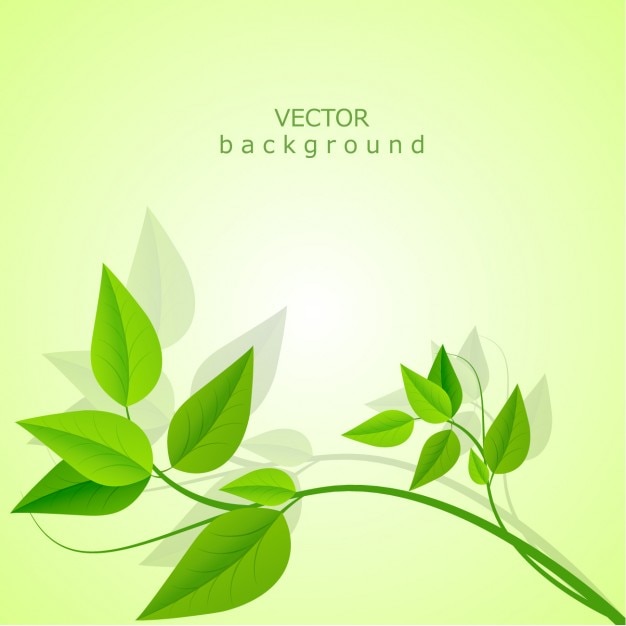Vector background leaves Vector | Free Download