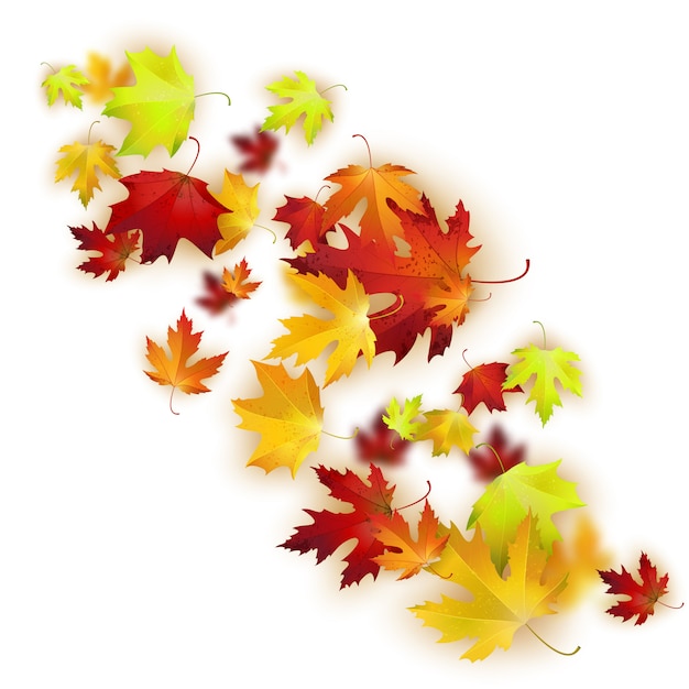 Vector background with colorful autumn leaves Premium Vector