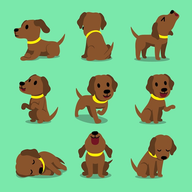 Premium Vector | Vector cartoon character brown labrador dog poses