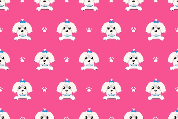 Vector cartoon character maltese dog seamless pattern Premium Vector