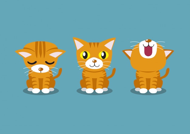 Premium Vector | Vector cartoon character tabby cat poses