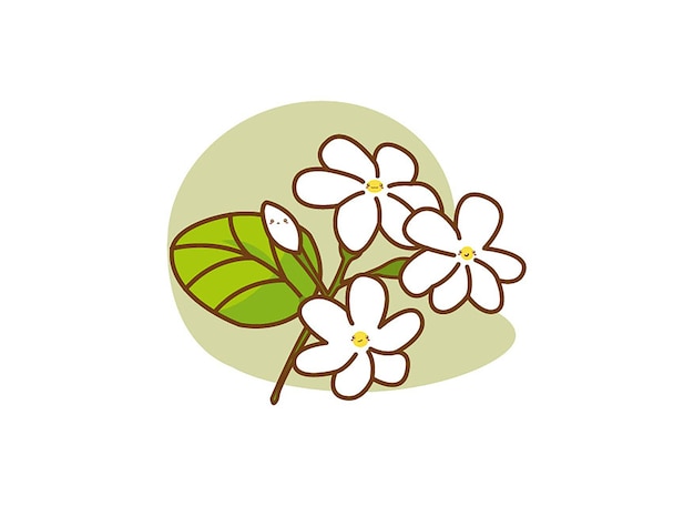 Premium Vector | Vector cartoon jasmine on white background