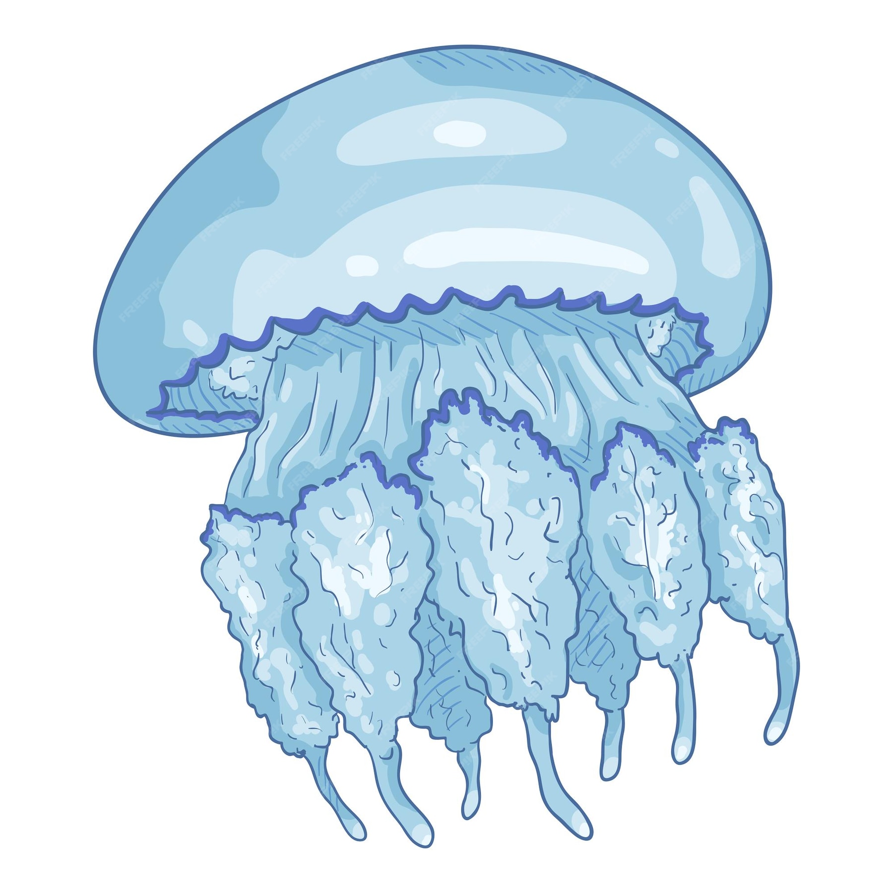 Premium Vector Vector cartoon jellyfish on white background