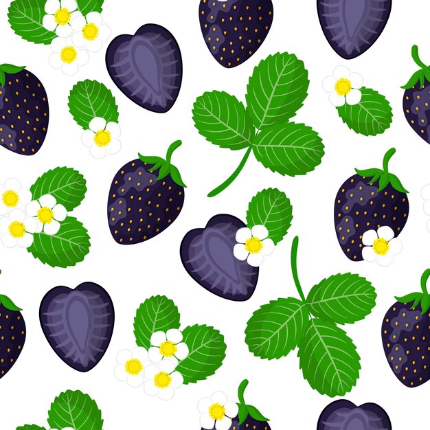 Premium Vector Vector Cartoon Seamless Pattern With Fragaria Ananassa Or Black Strawberries Exotic Fruits Flowers And Leafs