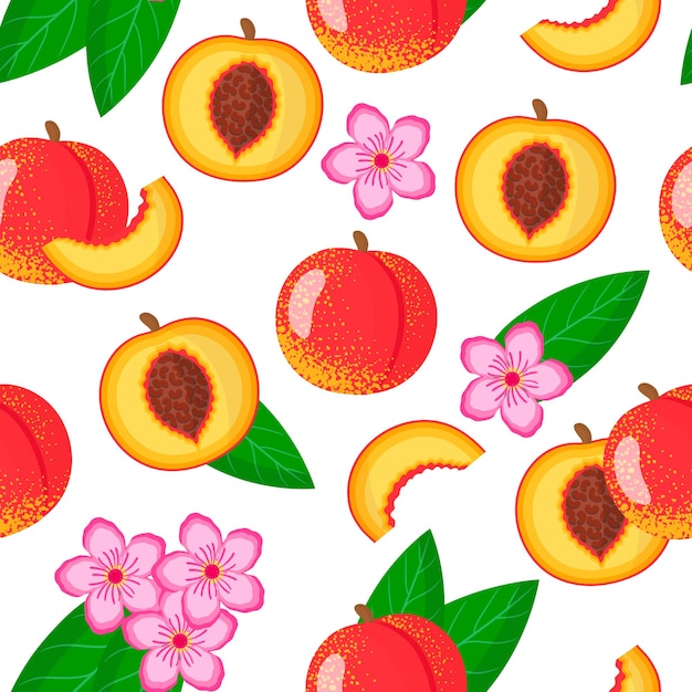 Premium Vector Vector Cartoon Seamless Pattern With Prunus Persica Nucipersica Or Nectarine 1534