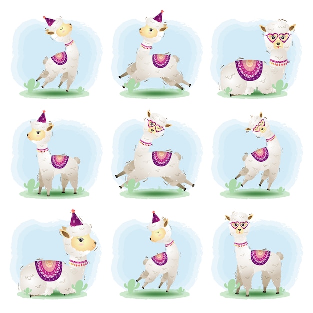 Premium Vector | Vector cartoon set of cute alpaca