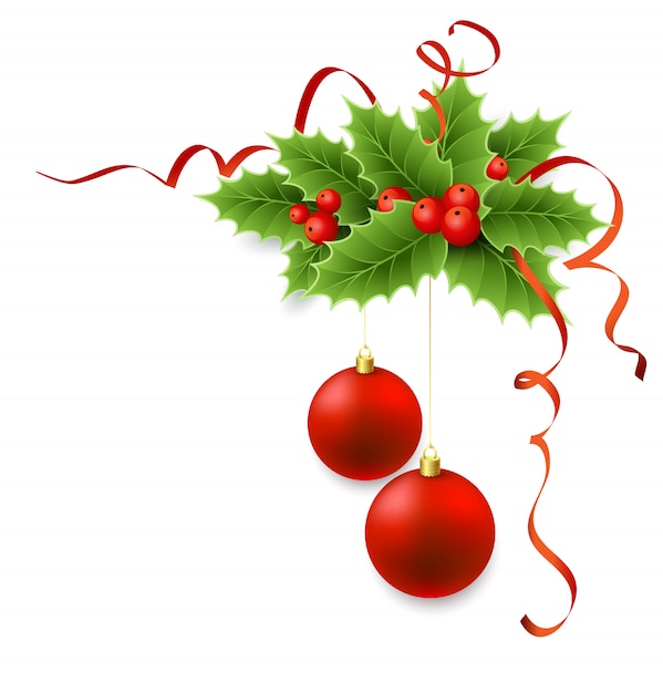 Download Vector christmas holly with berries. | Premium Vector