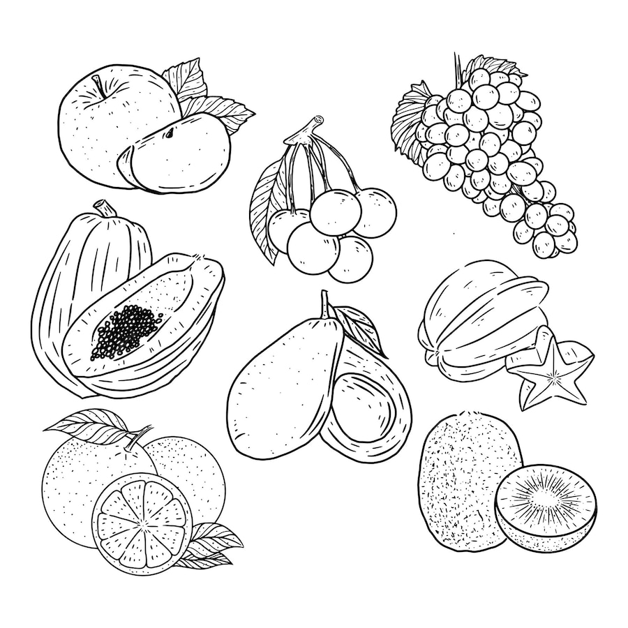 Premium Vector | Vector collection of fruits in hand drawn style