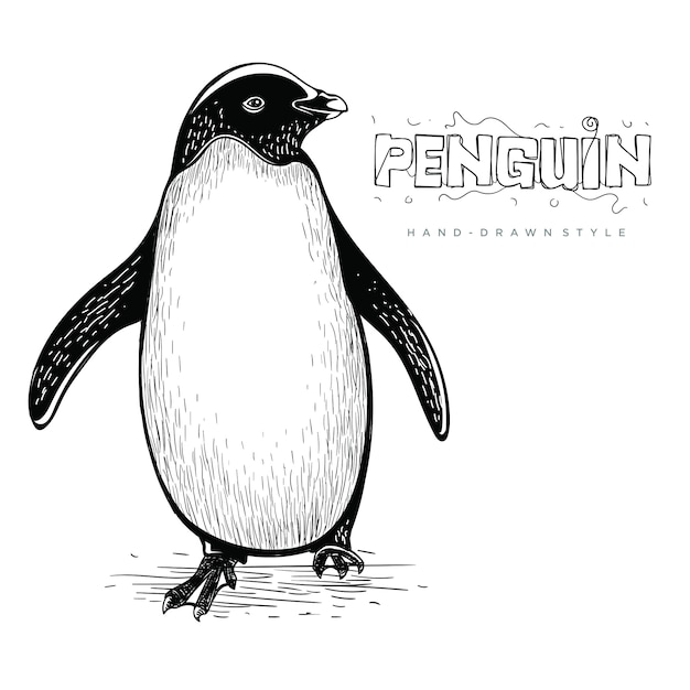 ベクトルかわいいペンギン 手描きの動物イラスト プレミアムベクター