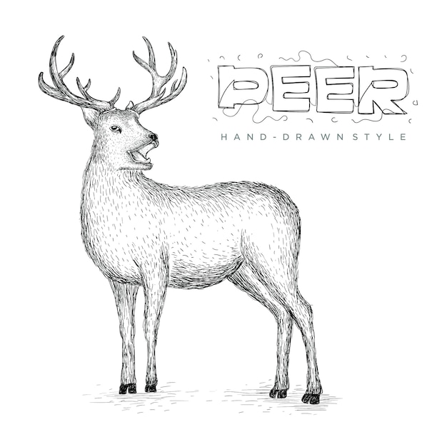 Premium Vector Vector deer side view, hand drawn animal illustration