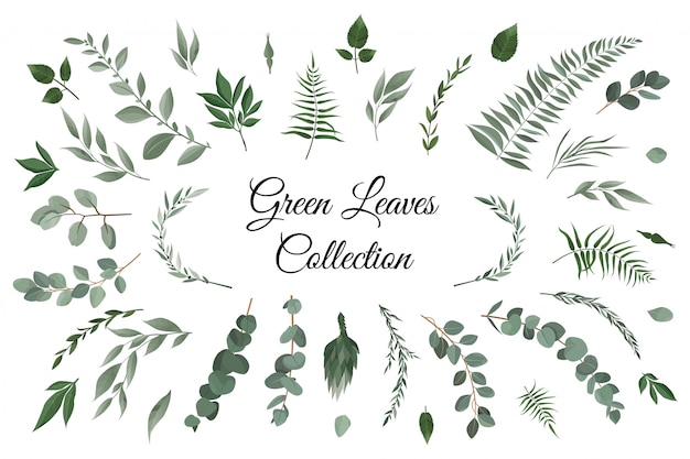 Vector designer elements set collection Premium Vector