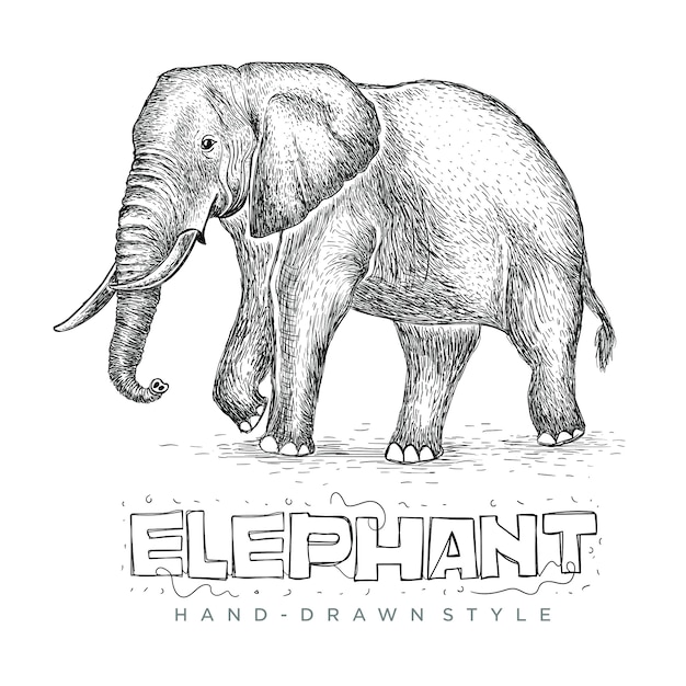 ベクトル象ウォーキング 手描きの動物のリアルなイラスト プレミアムベクター