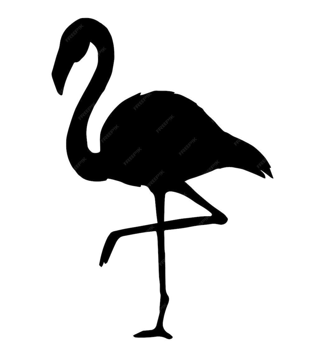 Premium Vector Vector Flamingo Silhouette Isolated On White Background 