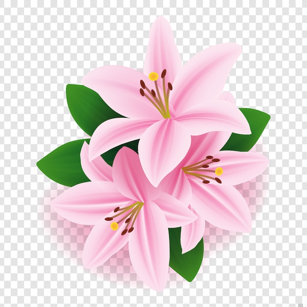 Free Free Lily Flower Svg Free 166 SVG PNG EPS DXF File
