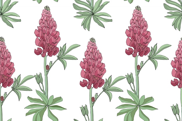 Vector floral seamless pattern. Vector | Premium Download