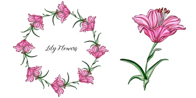 Download Vector flower arrangements with lily flowers Vector ...