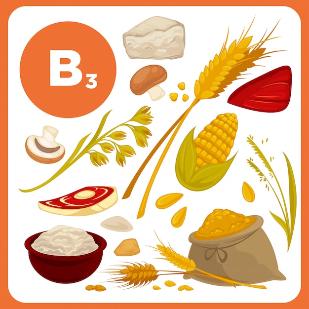 Vit B3 Foods