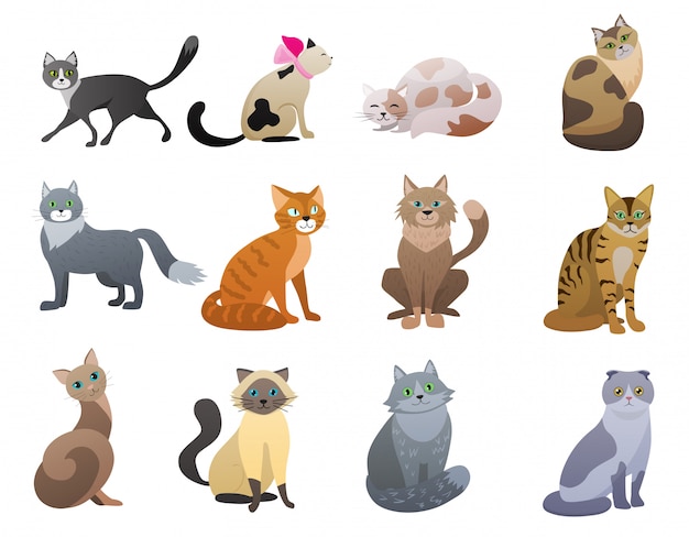 Premium Vector | Vector funny and cute cartoon cat different breeds pet