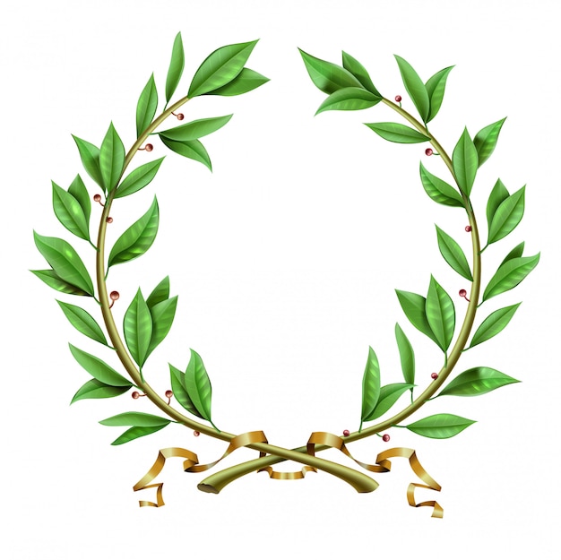 Download Premium Vector | Vector graphics. green antique realistic vintage winner laurel wreath.