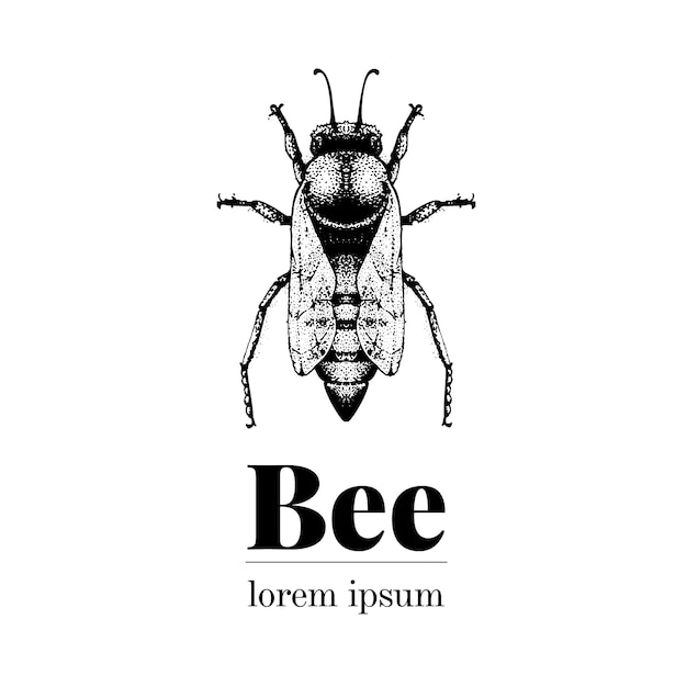ベクトル手描き蜂イラスト レトロなスタイルのロゴのテンプレート プレミアムベクター