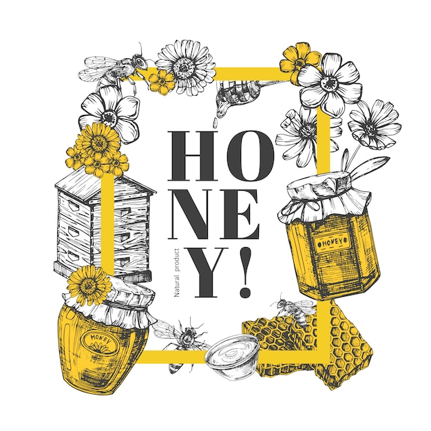 Vector hand drawn honey illustration | Premium Vector