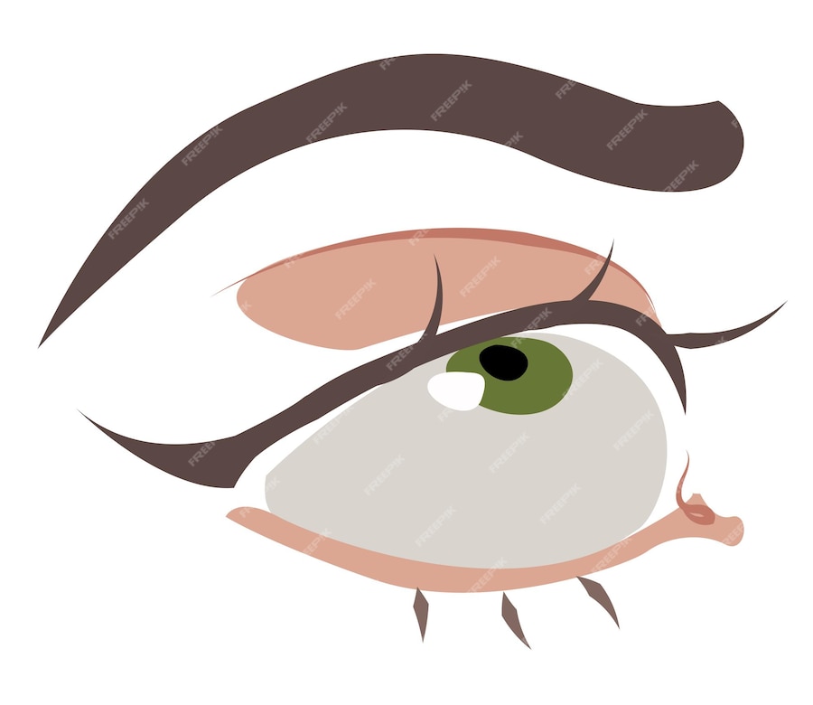 Premium Vector | Vector illustration beautiful eye with makeup