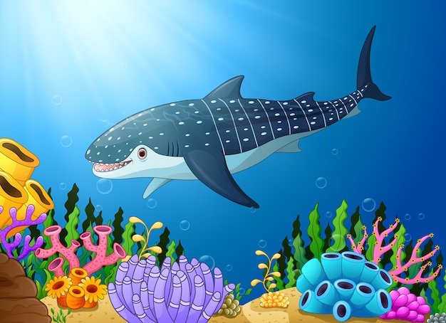 Free Free 250 Whale Shark Svg SVG PNG EPS DXF File