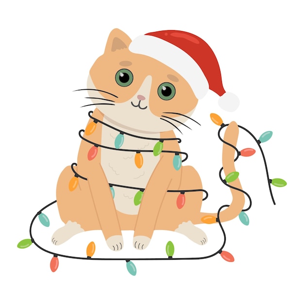 Premium Vector Vector illustration of a cute cat in santa claus hat