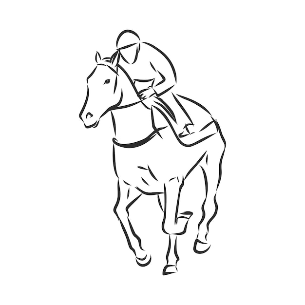 Premium Vector | Vector illustration of a racing horse and jockey