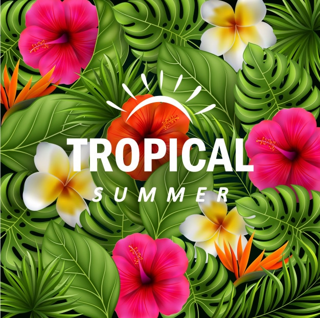 Free 226 Tropical Flower Svg Simple SVG PNG EPS DXF File