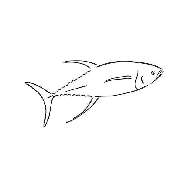 Premium Vector | Vector illustration of tuna tuna fish vector sketch on ...