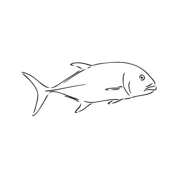 Premium Vector | Vector illustration of tuna tuna fish vector sketch on ...