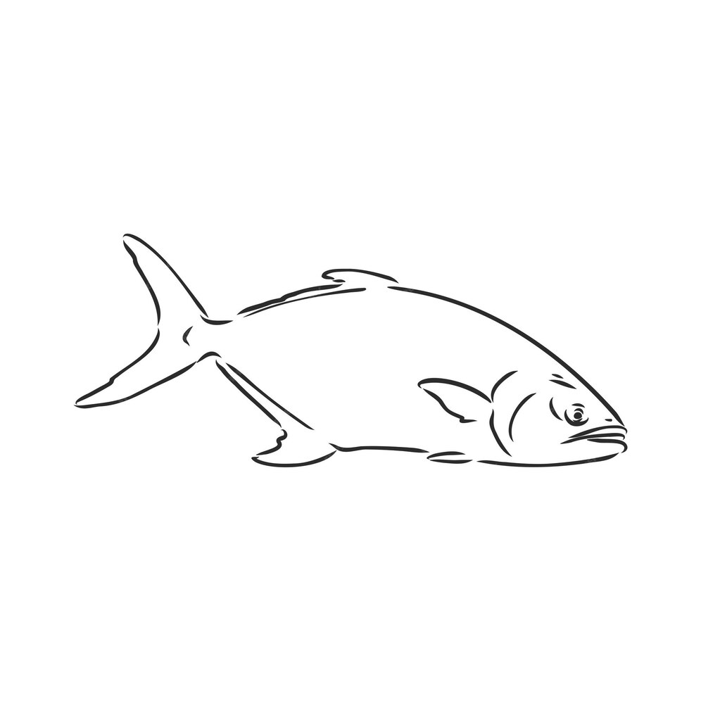 Premium Vector | Vector illustration of tuna tuna fish vector sketch on ...