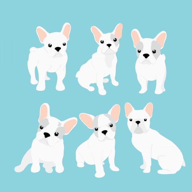 プレミアムベクター 別の位置にかわいい小さなフレンチブルドッグのベクトルイラストセット 面白い幸せな子犬 青の背景に漫画フラットスタイルの フレンチブルドッグ子犬コレクション