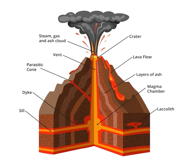 ベクターインフォグラフィックイラスト 火山の断面 プレミアムベクター