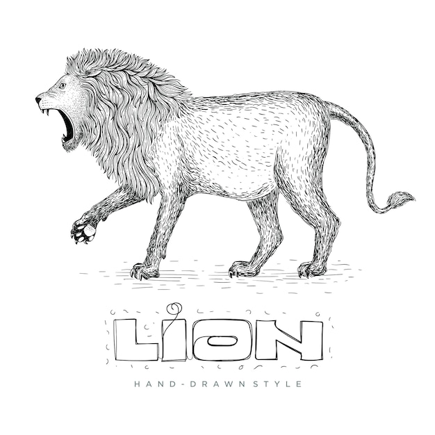 歩くライオンのベクトル 手描きの動物イラスト プレミアムベクター