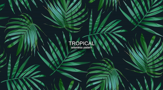Vector palm frond leaves seamless pattern. Premium Vector