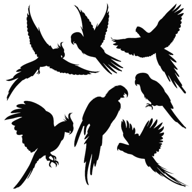 Download Free Vector Parrots Amazon Jungle Birds Silhouettes Isolated On White Use our free logo maker to create a logo and build your brand. Put your logo on business cards, promotional products, or your website for brand visibility.