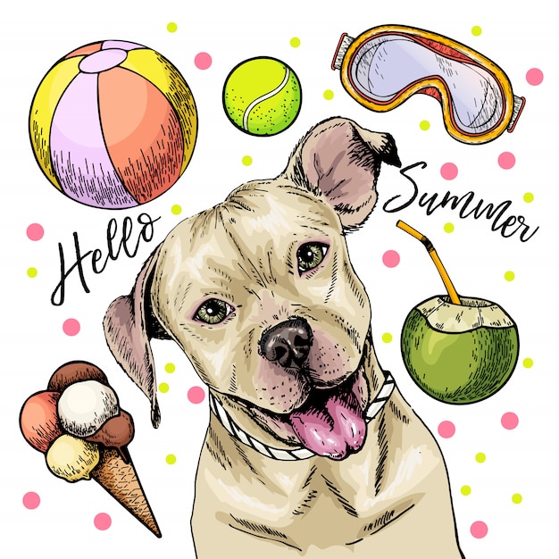 ピット ブルテリア犬のベクトルの肖像 こんにちは夏の漫画イラスト プレミアムベクター