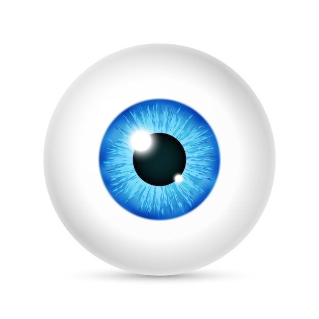 Vector realistic human eyeball Vector | Premium Download