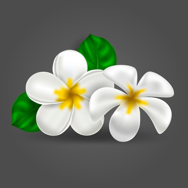 Free Free 97 Hawaii Flower Svg Free SVG PNG EPS DXF File