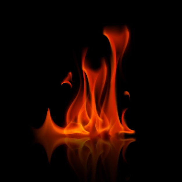 Premium Vector | Vector red fire flame bonfire